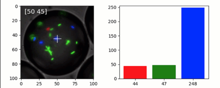../_images/quibdemo_image_probing.gif